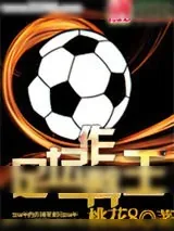 《足坛作弊王》小说封面