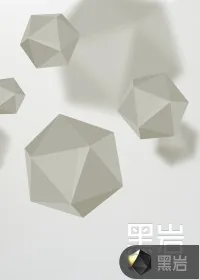 《风水师秘记》小说封面