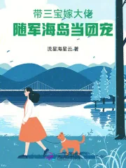 《带三宝嫁大佬，随军海岛当团宠》小说封面
