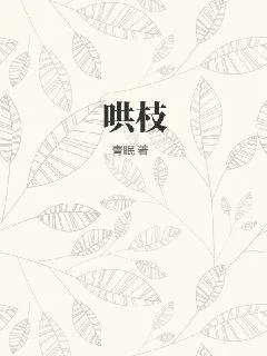 《哄枝》小说封面