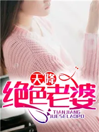《天降绝色老婆》小说封面