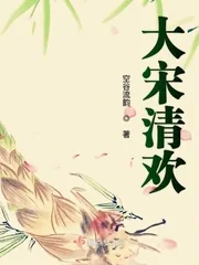 《大宋清欢》小说封面