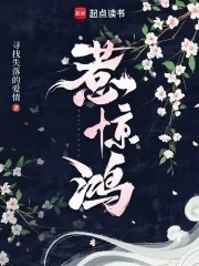 《惹惊鸿》小说封面