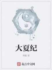 《大夏纪》小说封面